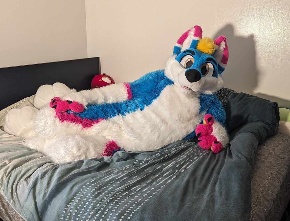 Mellhouse tweet media