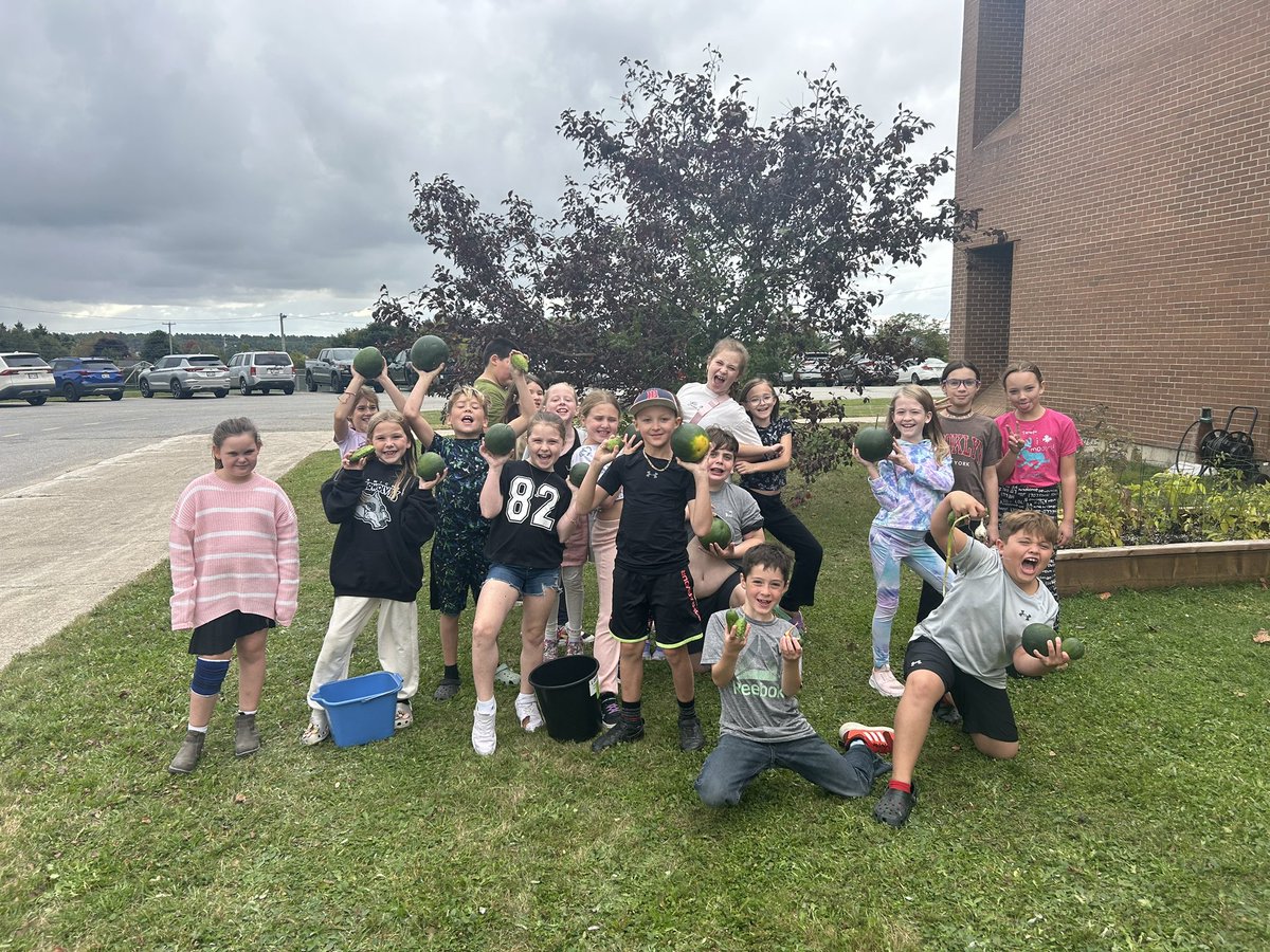 Grade 4FI <a href="/GretnaG/">Gretna Green</a> school harvested the last of our crop this afternoon! Most had been picked by our middle schoolers to use in culinary tech classes. Some even harvested the seeds for us to use in our hydroponics that will be starting shortly! <a href="/stemnorth/">STEM North</a>
