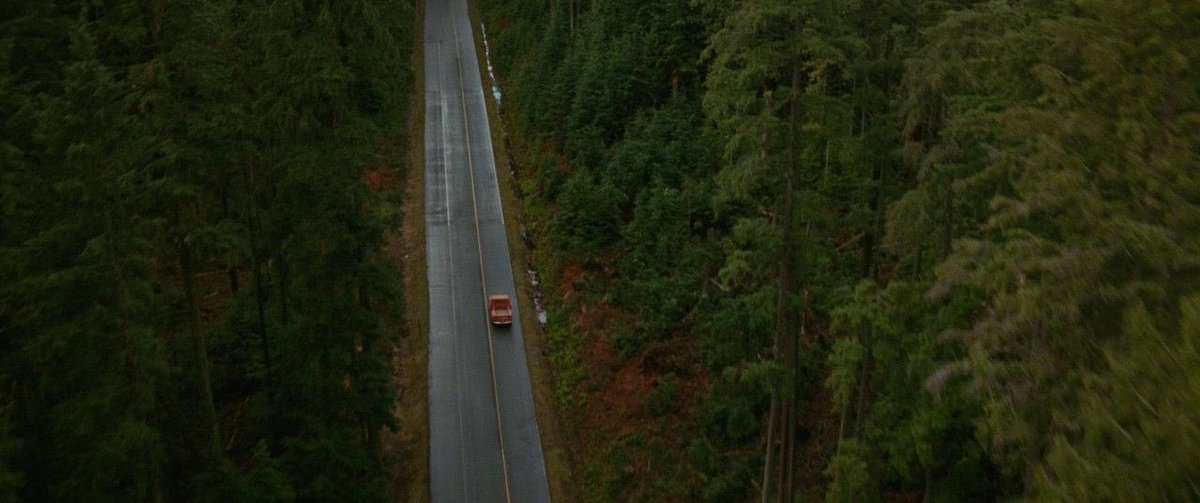 swilsonstew's tweet image. that time of the year 🍁