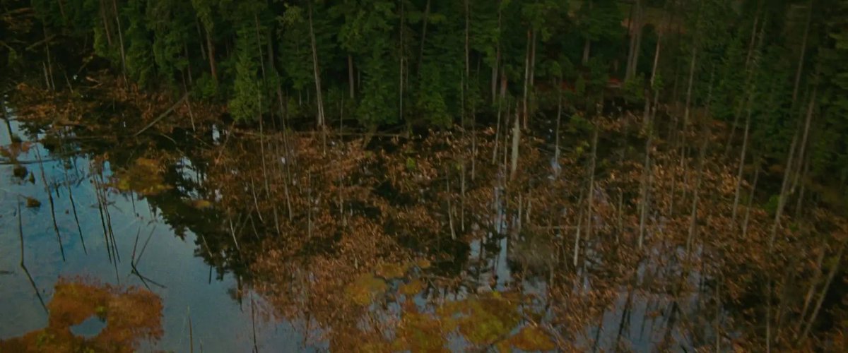 swilsonstew's tweet image. that time of the year 🍁