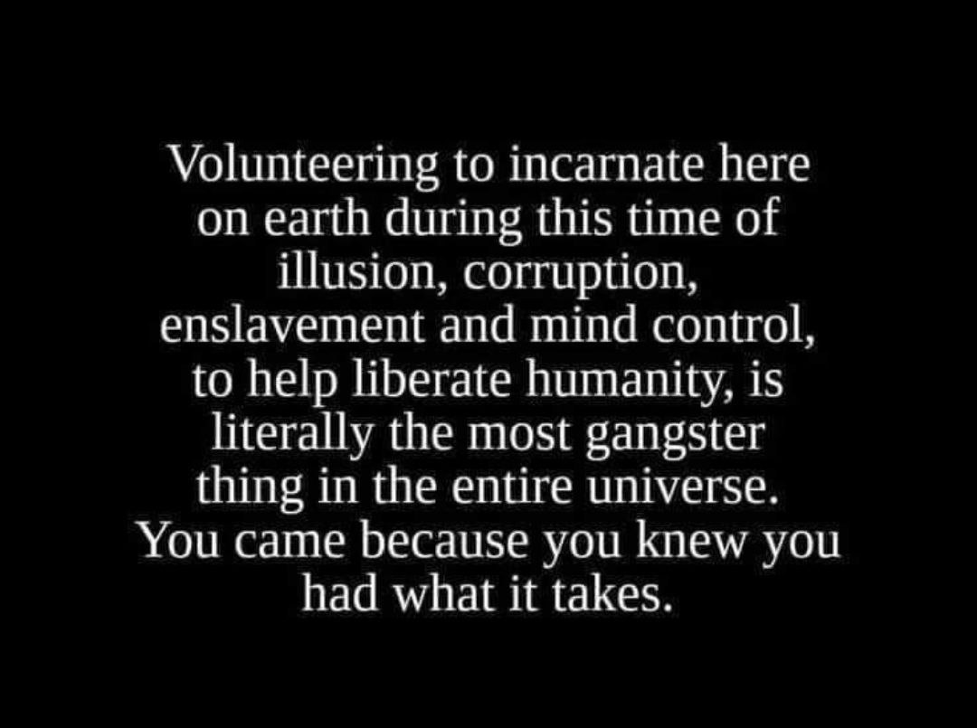 Niclas Q tweet media