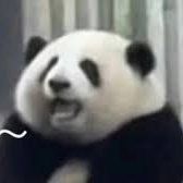 OG_Huahua's tweet photo. No cabal plays community < cabal 

$HUAHUA OG 

6HZWuobpF3r853pKoCq7JFPcjF7MiDPEiVybbkvghwbT https://t.co/lw6zICxe01