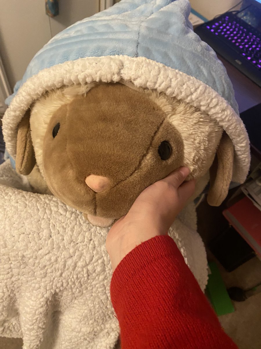 katcraft1's tweet photo. Sheep :) https://t.co/arUc7j6nWP