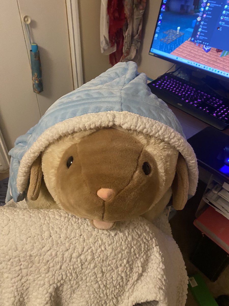 katcraft1's tweet photo. Sheep :) https://t.co/arUc7j6nWP