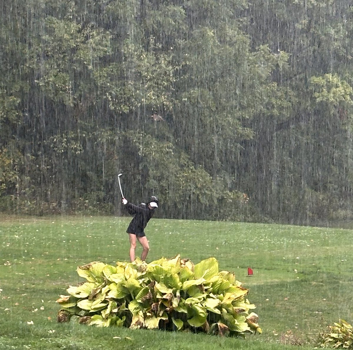 Amanda Accavallo tweet media