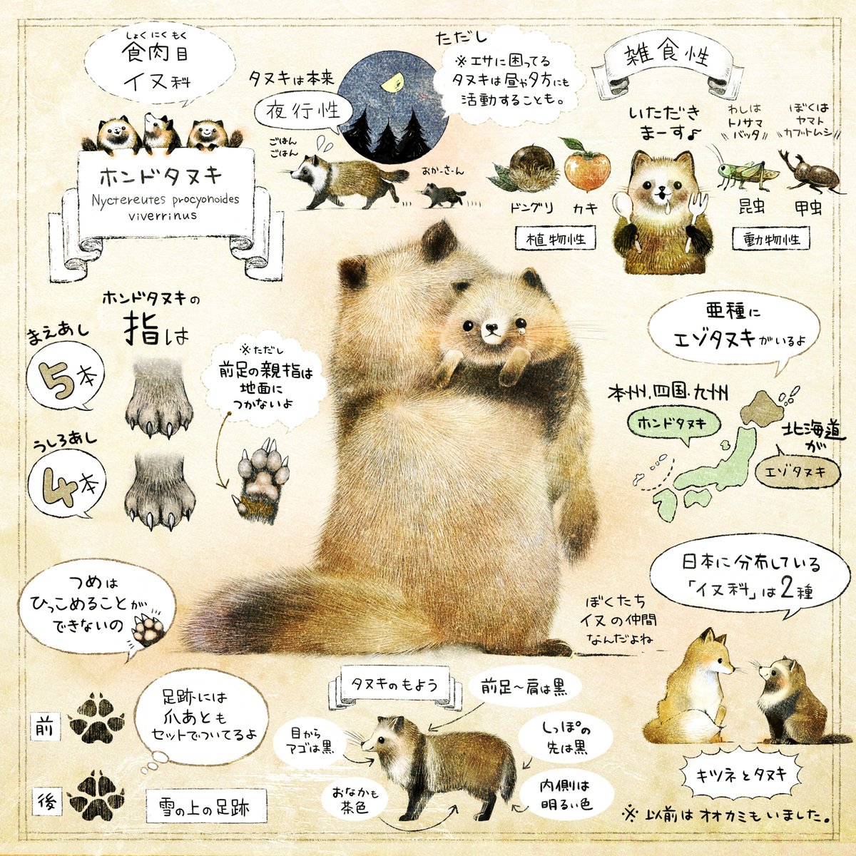きょうは #木の日 🌳

豊かな森に恵まれた国、日本。
国土の約7割は、森林です。

今日も日本のいたるところで、
木と共に生きる命達が、ワイワイ暮らしています。

森の物語が、続いていきますように。
小さな生き物たちの物語が、続いていきますように🌱