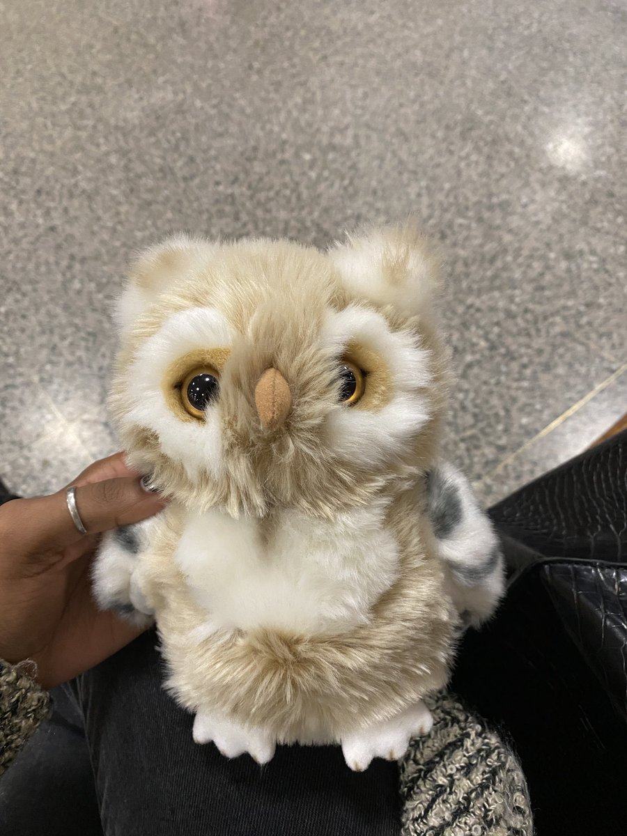 oshakuu's tweet photo. A great (albeit rainy) start to @FIT_NGIn today. It’s really refreshing to be surrounded by other infant neuroimagers and really get to appreciate the beauty, nuance, and challenges of big science with small participants. Plus I won a stuffed owl?! https://t.co/mmY2KTFtoo