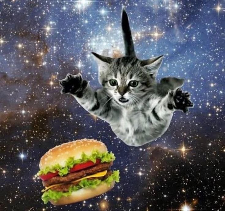 flowerfacelover's tweet photo. me if i was a skinny male with insanely fast metabolism https://t.co/GWHQiJbXKn