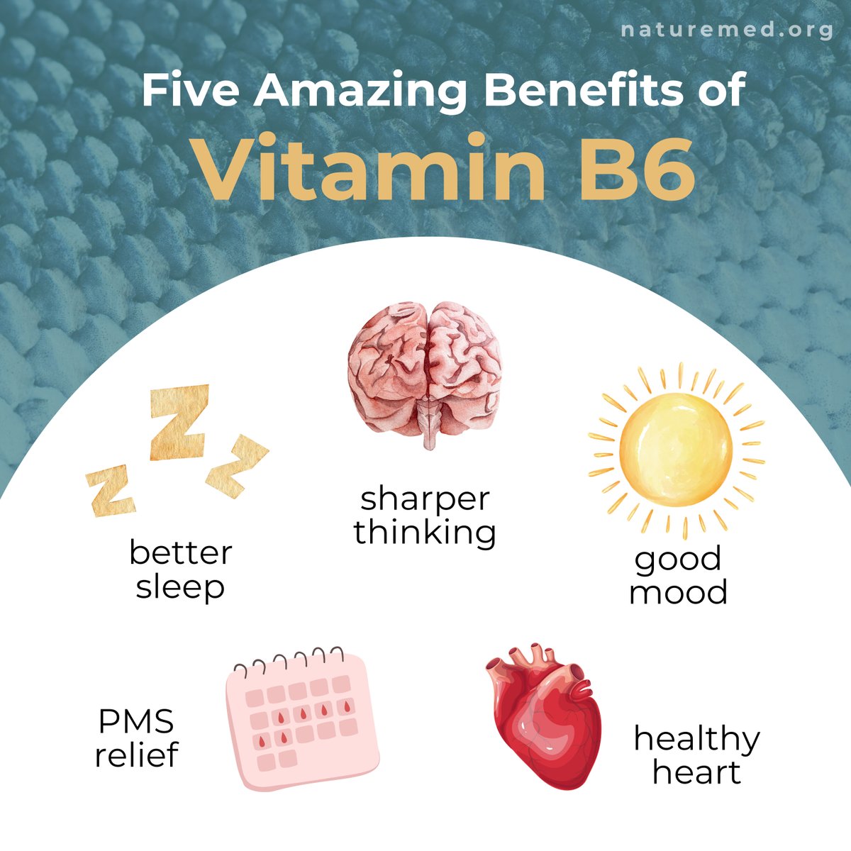 From lifting your mood to regulating metabolism, B6 does it all!

Discover the many benefits of B6 and its natural sources naturemed.org/fact-sheet-pyr…