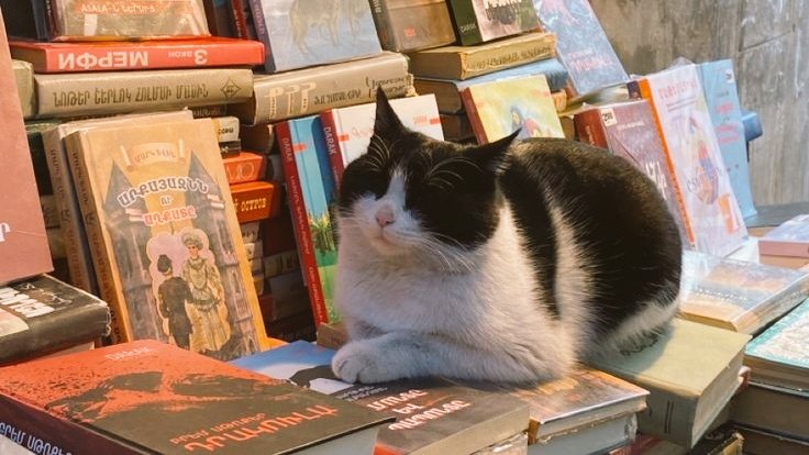 ͏͏͏͏͏͏͏͏    ͏͏͏͏͏͏͏͏ ͏͏͏͏͏͏
͏͏͏͏͏͏ ͏͏͏͏͏͏
    ͏͏͏͏͏͏ ͏͏͏͏͏͏         ͏͏͏͏͏͏ ͏͏͏͏͏͏ ͏͏͏͏͏͏ ͏͏͏͏͏͏                
                
         [ ◉¯] Photo shots dump ᡣ𐭩

ㅤ ㅤ ͏͏͏͏͏͏
͏͏͏͏͏͏