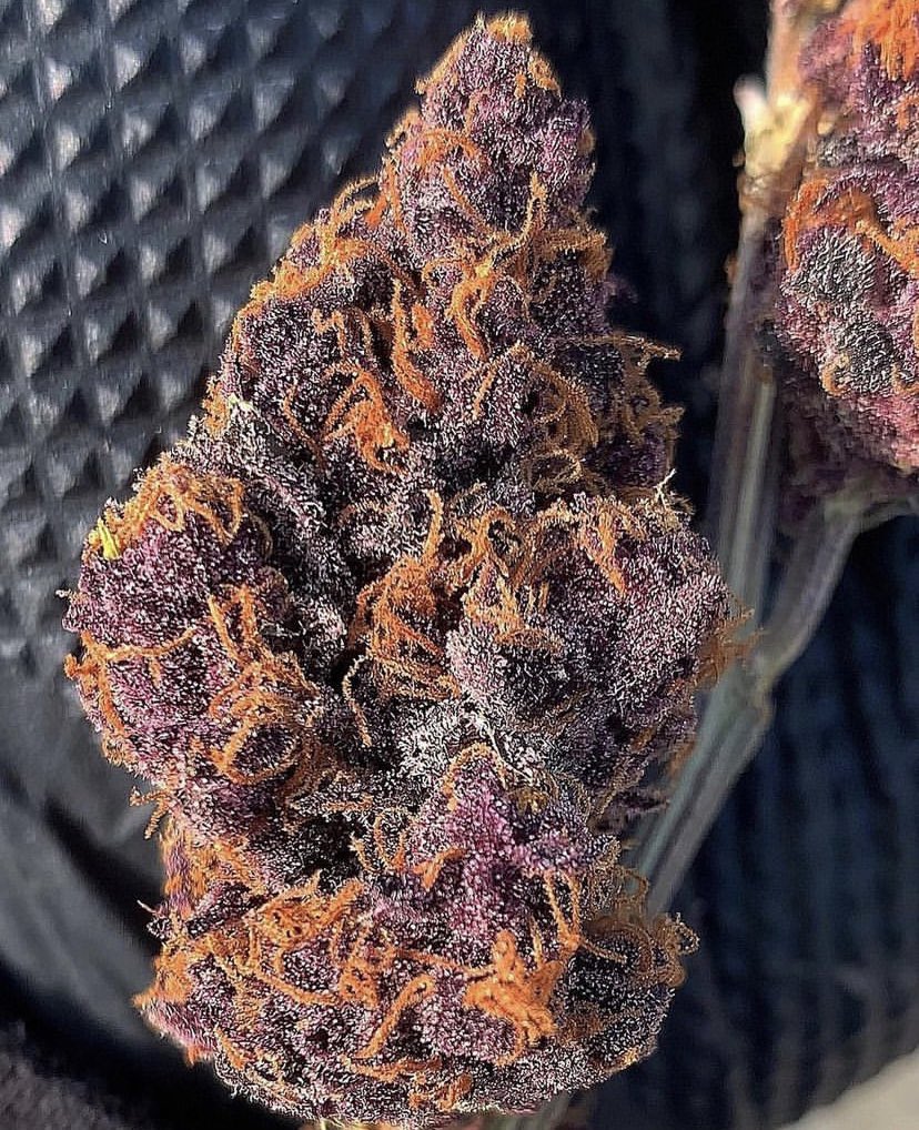 Pebbles Punch 🍇🍊🥊