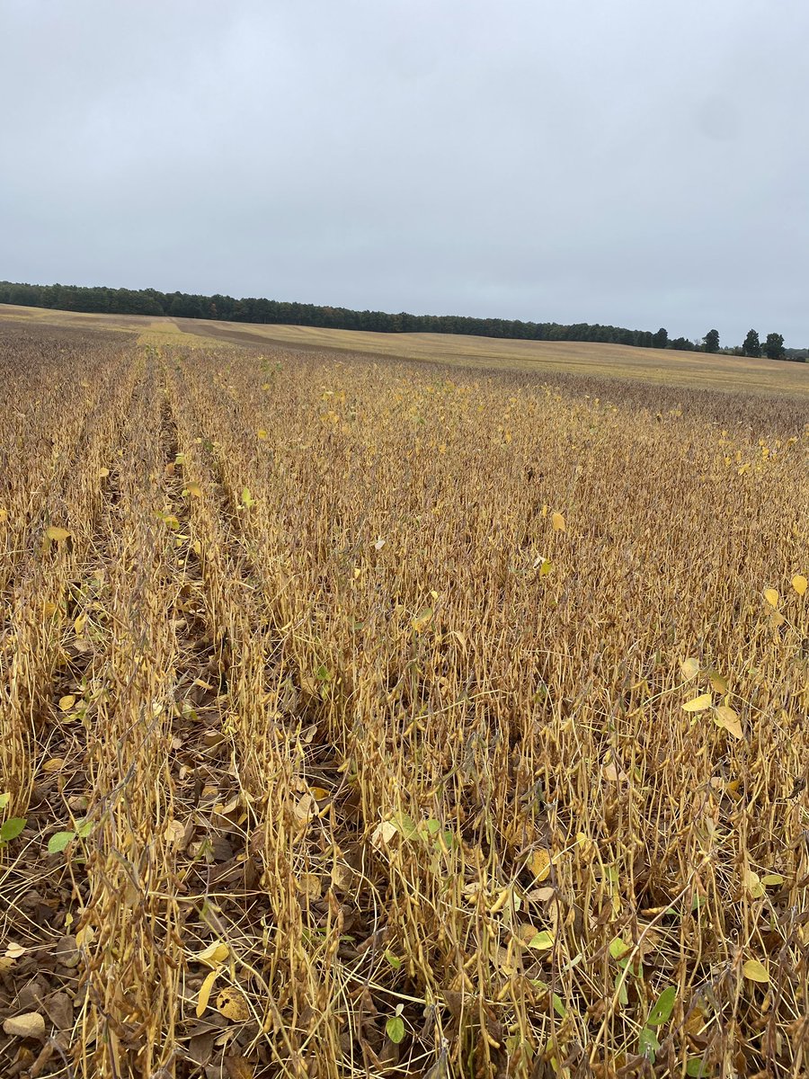 Toddridge Farm Services Ltd. tweet media