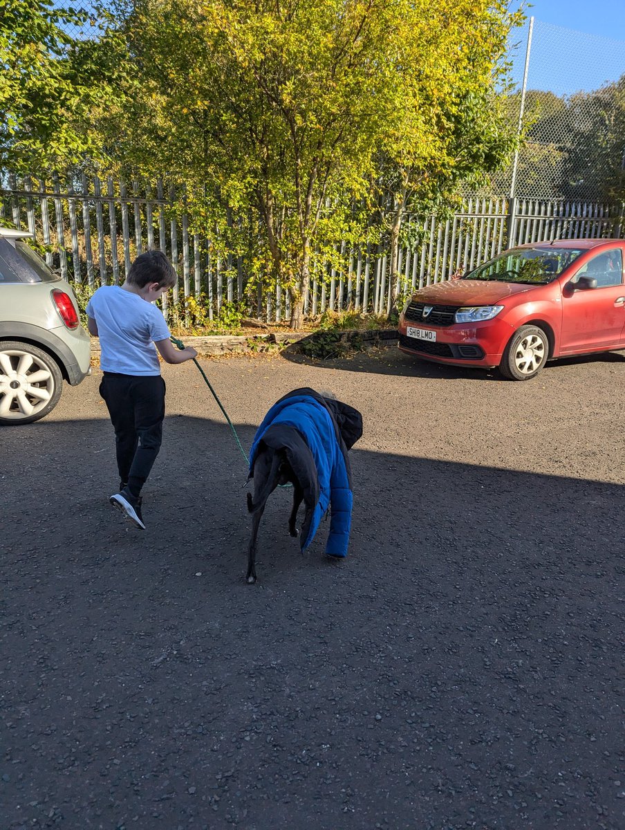 MissHastonIWBS's tweet photo. We’re lucky enough to have not one but two dogs who visit our school on a weekly basis! 🐶 Spending time with them helps us develop confidence, self esteem and responsibility as well as improving our fitness and wellbeing! They’re also great fun! 🥰 #WatchUsGrow @IWBSFalkirk https://t.co/AqNty6mSi7