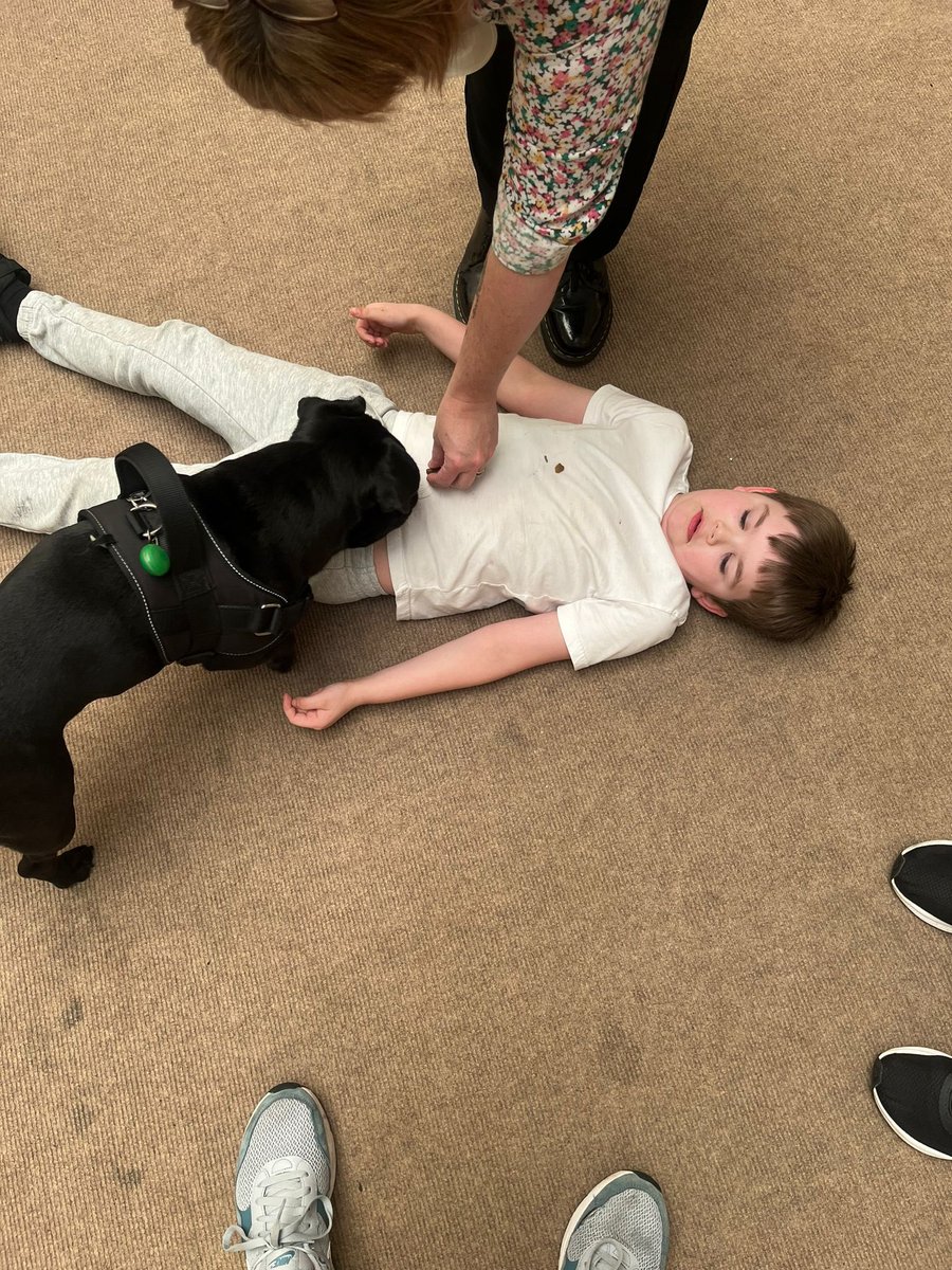 We’re lucky enough to have not one but two dogs who visit our school on a weekly basis! 🐶 Spending time with them helps us develop confidence, self esteem and responsibility as well as improving our fitness and wellbeing! They’re also great fun! 🥰 #WatchUsGrow <a href="/IWBSFalkirk/">Inclusion&Wellbeing</a>