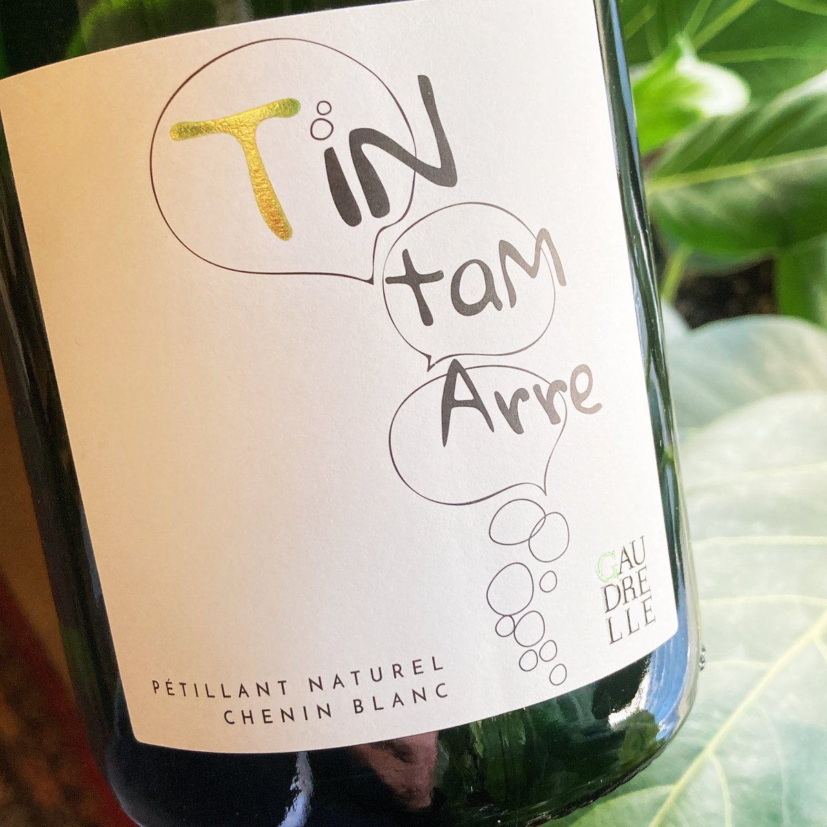 Lovely wines of the Loire Valley this Friday 5-7pm. #sancerrerouge #bourgueil #touraine #sancerreblanc #petnat #cheninblanc #pinotnoir #gamay #sauvignonblanc #cabernetfranc