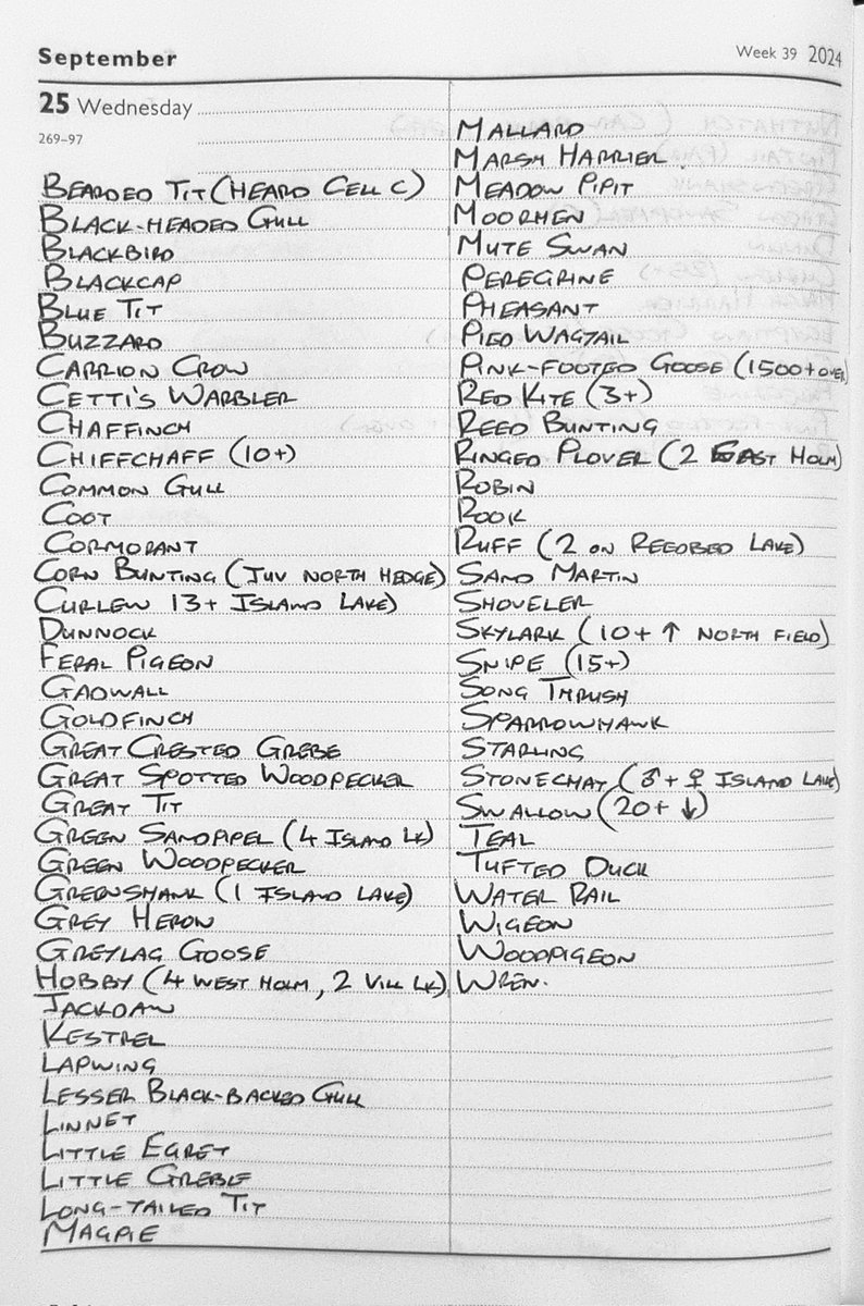 Sightings:25th September 2024.
<a href="/NorthCaveWet/">North Cave Wetlands</a>