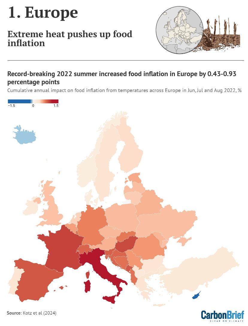 Carbon Brief tweet media