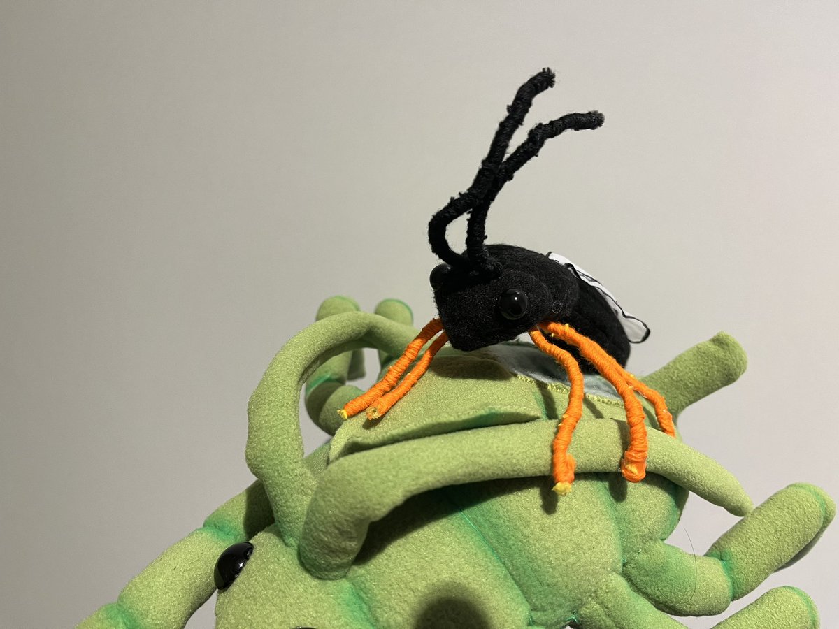 Cindysartnl's tweet photo. This was a challenging commission, a parasitised aphid with a small parasitoid inside 😁 #aphid #parasitoid #sciart #hugbug #entomology https://t.co/8la2I772II
