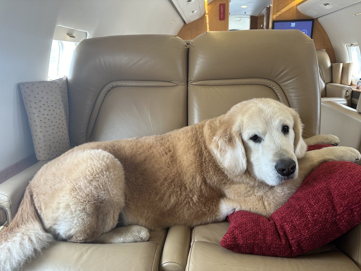 Annnnnd we’re off!