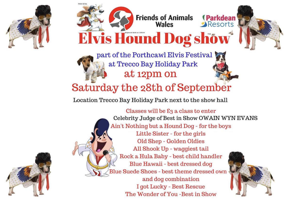 FOAWales's tweet photo. Why not join us on Saturday and/or Sunday for our Fun Elvis Themed Dog Shows in Porthcawl. https://t.co/V48N04OutQ