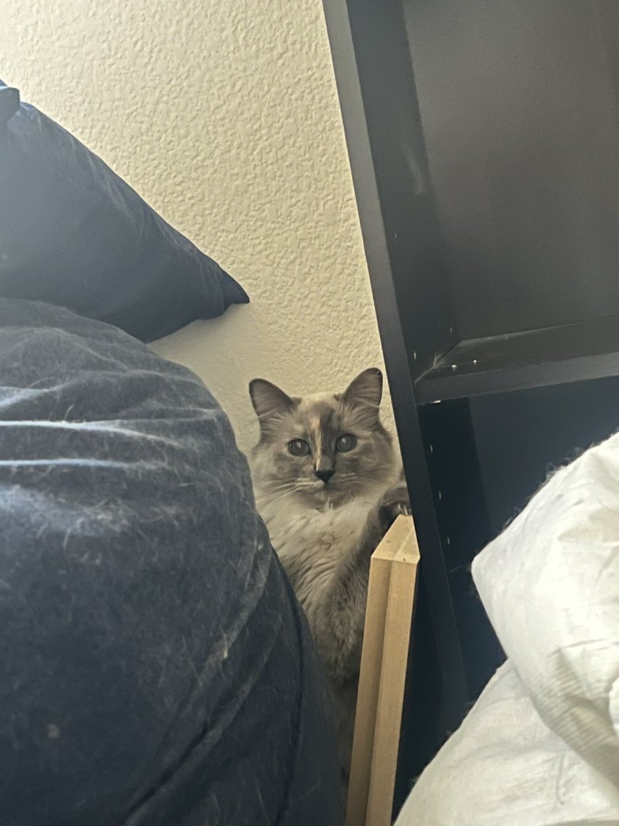 TheAlexHarper's tweet photo. She sees into your soul https://t.co/OJTBiUvLIa