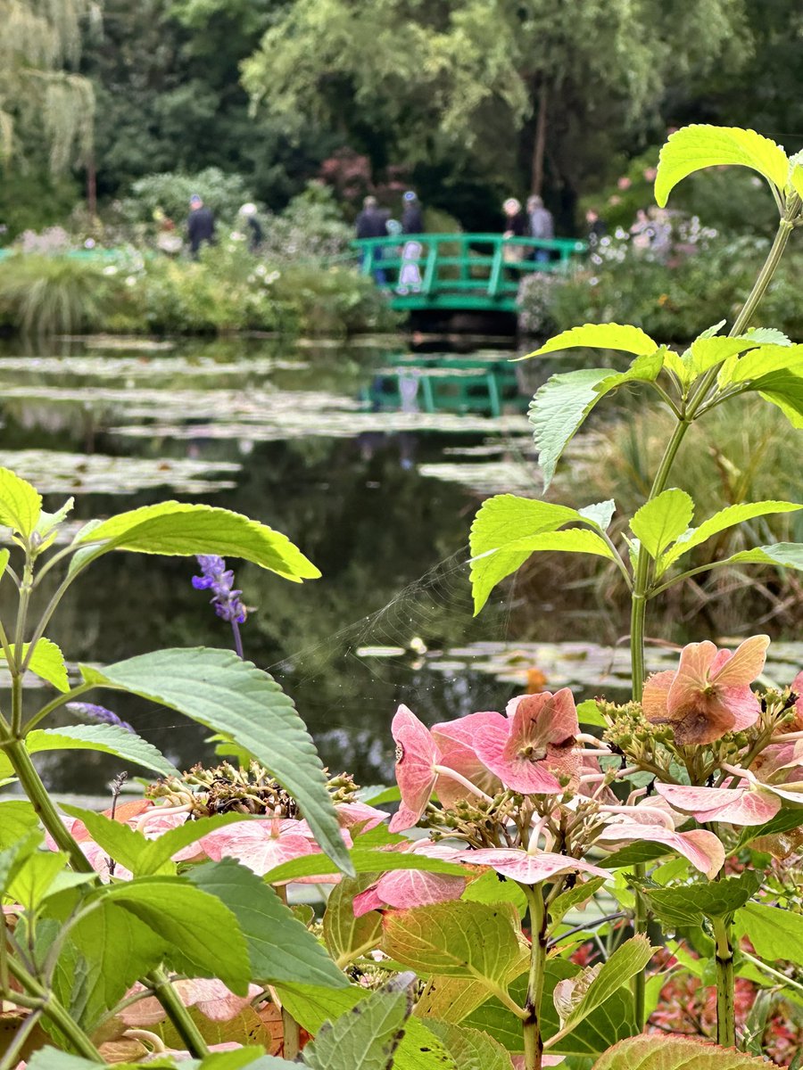 Colleen M Cullum tweet media