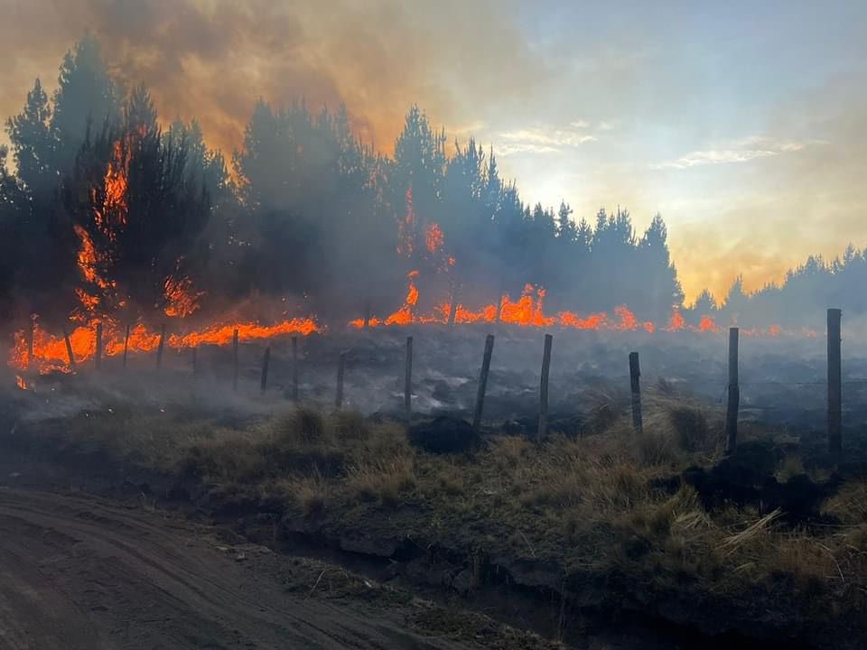 ElDatoEcua's tweet photo. #Urgente ¡INCENDIO FORESTAL EN LATACUNGA!

Se reporta un nuevo ncendio forestal en Pansache, ubicado en la parroquia Aláquez, Latacunga (Cotopaxi). 

Noticia en desarrollo. https://t.co/NO8oJQhOLi
