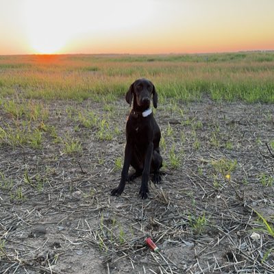 crownroya1's tweet photo. #NewProfilePic https://t.co/5zvZb9N4ch