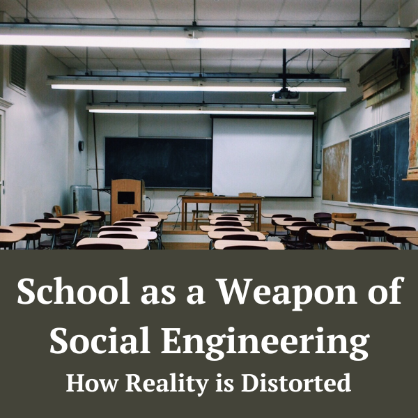 capricethorsen's tweet photo. Latest article! Schools are psych labs, not educational institutions of learning. #Educateyourself #SelfDiscovery #learn
https://t.co/rro0lNWaiT https://t.co/BPSwLRFNma