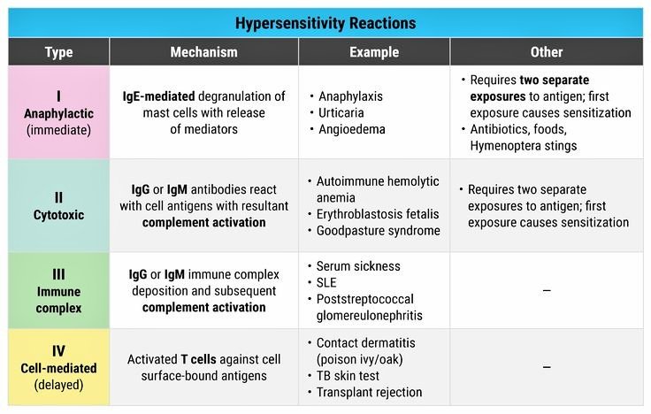 Gazal6849's tweet photo. 🔴Hypersensitivity reactions

#medx https://t.co/3Iwys4wUdO