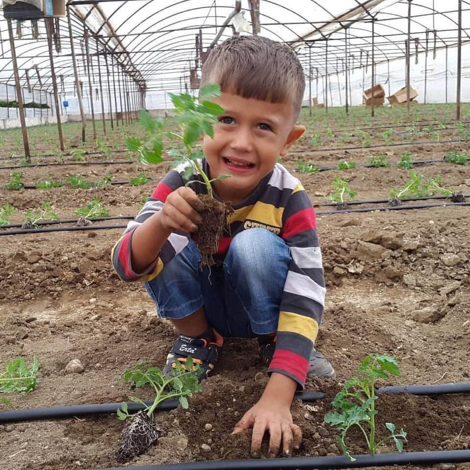 SabriSarca's tweet photo. Bölgemiz çiftçisinin turfanda sebzecilikte marka konumuna getirdiği Dünyanın gözbebeği olarak bilinen DEMRE mizde geçim kaynağımız olan  seralarımızı fideler ile buluşturmanın  sevincini yaşıyoruz. https://t.co/1f8ek6b0PG