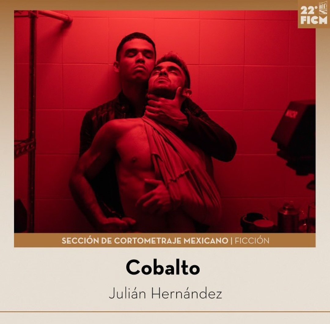 COBALTO
Julián Hernández
Morelia International Film Festival 
Mexican Short Film Competition 
October 18-27