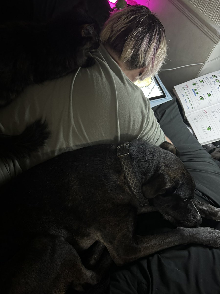 VGScorpii's tweet photo. Practicing while they give me emotional support https://t.co/l62zdryKAu