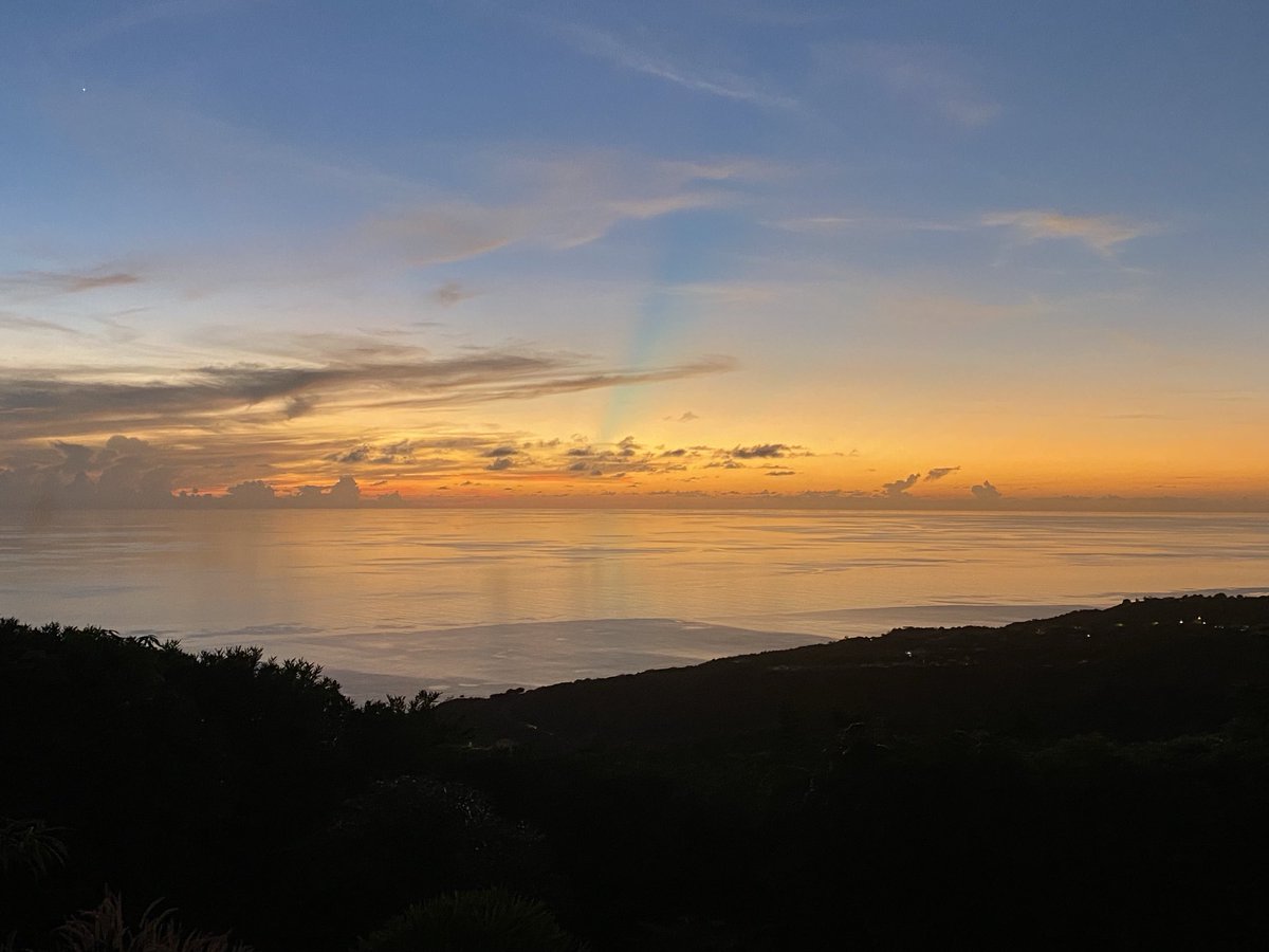 Emma-tocrite tweet media