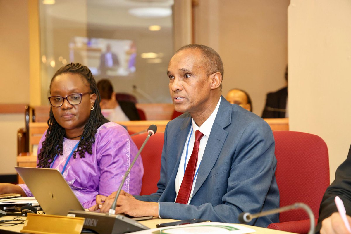 Ali Mohamed tweet media