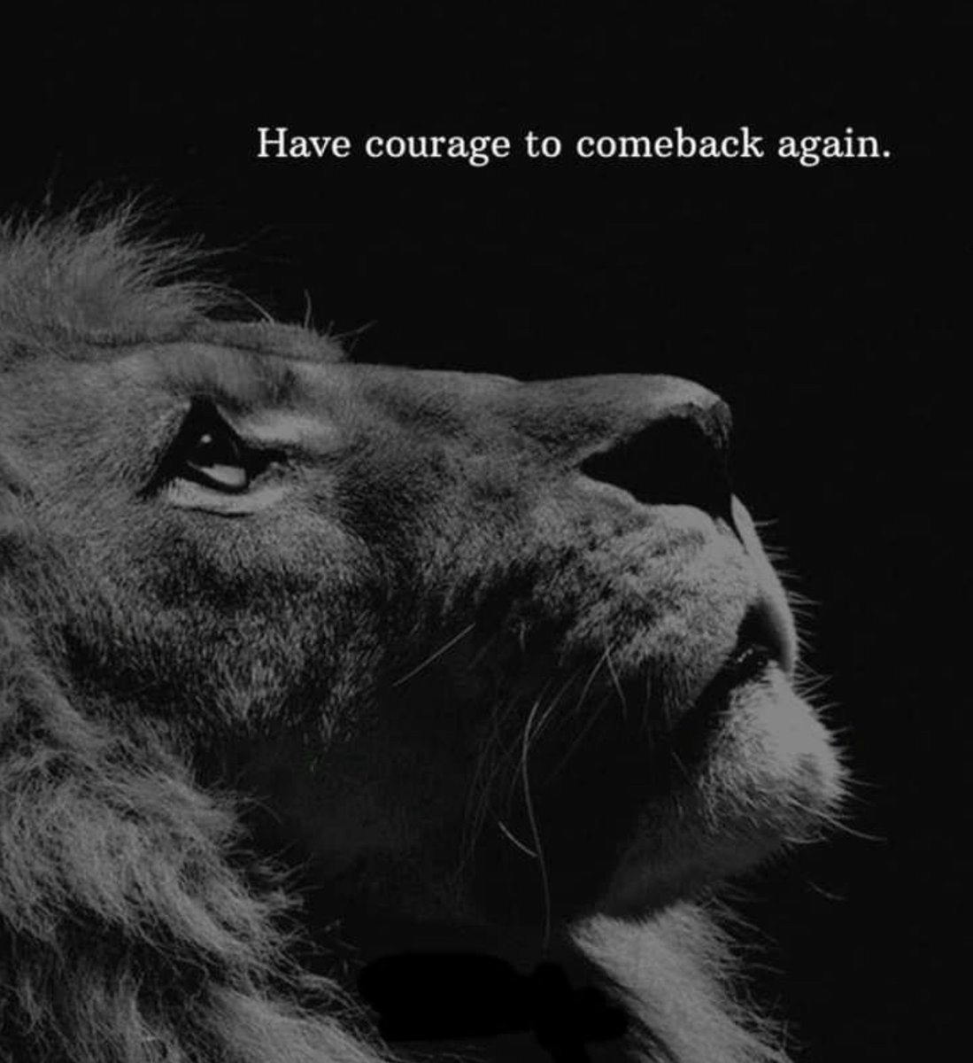 PullTheShade3's tweet image. @donfelder 
#SoarWithEagles 
#OnEaglesWings