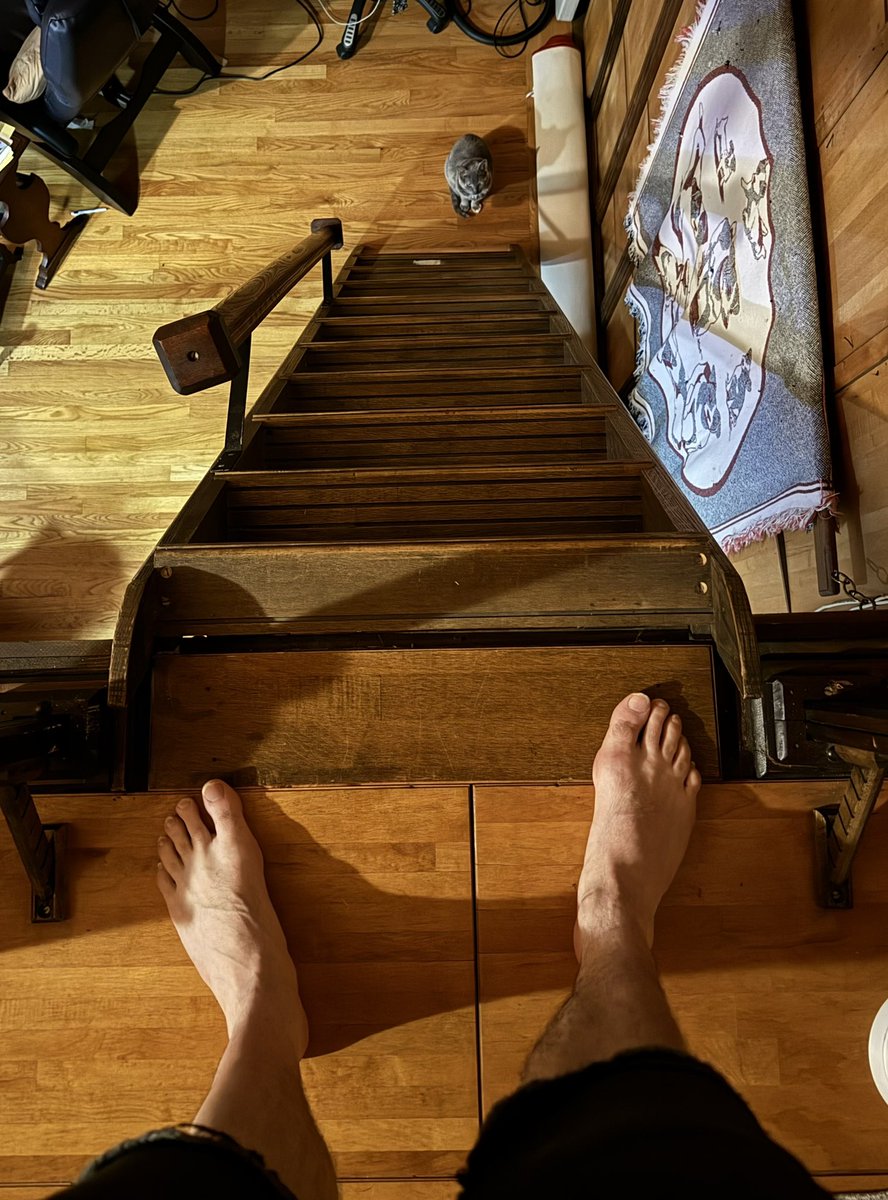 TheUnshored's tweet image. Staying at my neighbor’s loft this semester and I’m just waiting for the day where I eat shit on these stairs and fall to my death, and this cat is absolutely going to eat my face