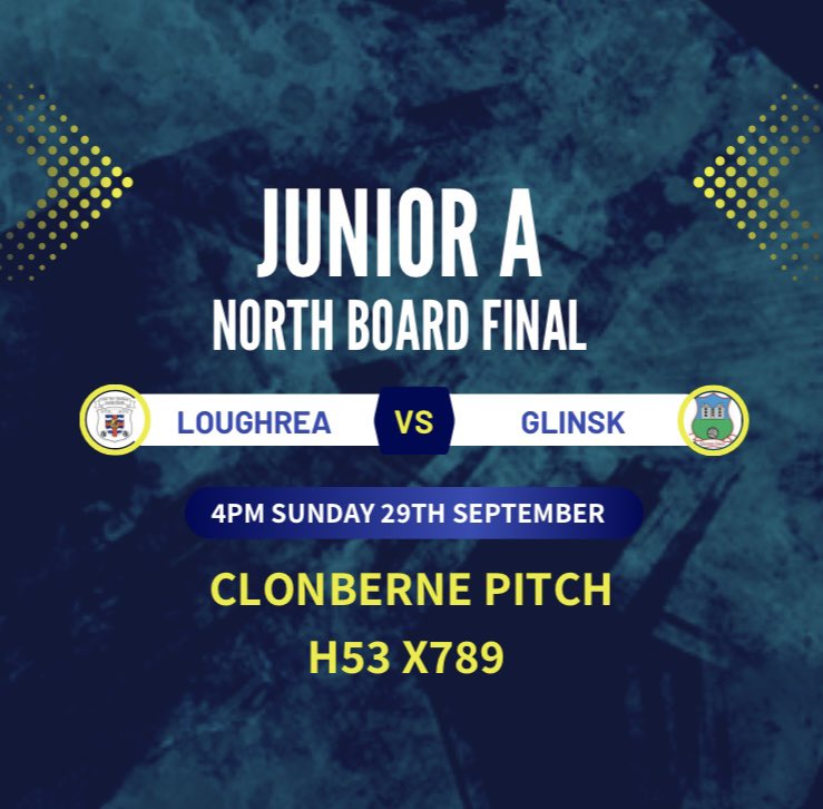 LoughreaGF's tweet photo. Following on from success at Junior D, C &amp; B level over the last few years the lads are now in the final at Junior A level. It is a testament to all the hard work they have put in over the year. Get out and support them!! 🔵🟡 https://t.co/jGmGkCyPB6