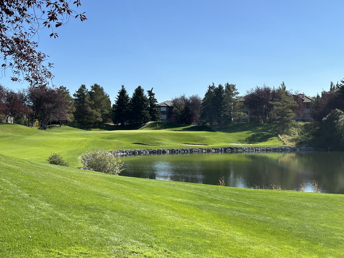 Golf Barbie tweet media