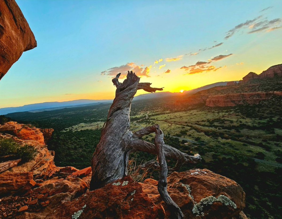 SedonaDotOrg's tweet photo. There's nothing quite like a Sedona sunset! 🌅✨ As the sun dips below the horizon, the red rocks come alive with vibrant orange, pink, and purple hues, creating a breathtaking spectacle that leaves you in awe.
@james_out_doors
#SedonaSunsets #RedRockMagic #NaturesArt #Explore https://t.co/7EJHOhbXxl