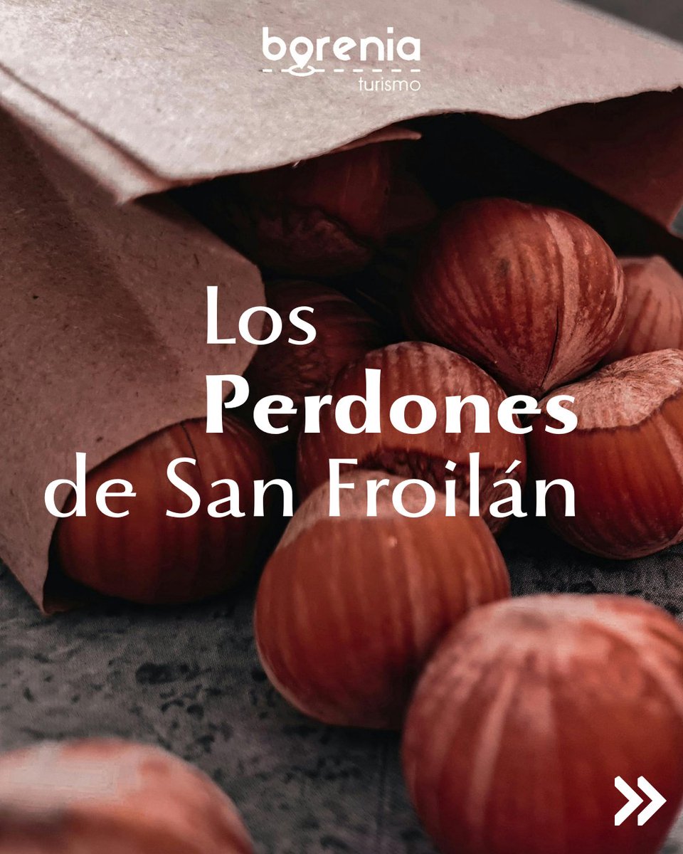 BoreniaTurismo's tweet photo. Mañana comienzan las fiestas de San Froilán y seguro que comemos todos unas bolsas de avellanas. Y ¿por qué lo de "perdones"?
#sanfroilan #perdones #avellanas #tradiciones #romeria #fiestas #leonesp #estoesleon #leonlotienescerca #conoceleon https://t.co/wtSyQF7Dt2