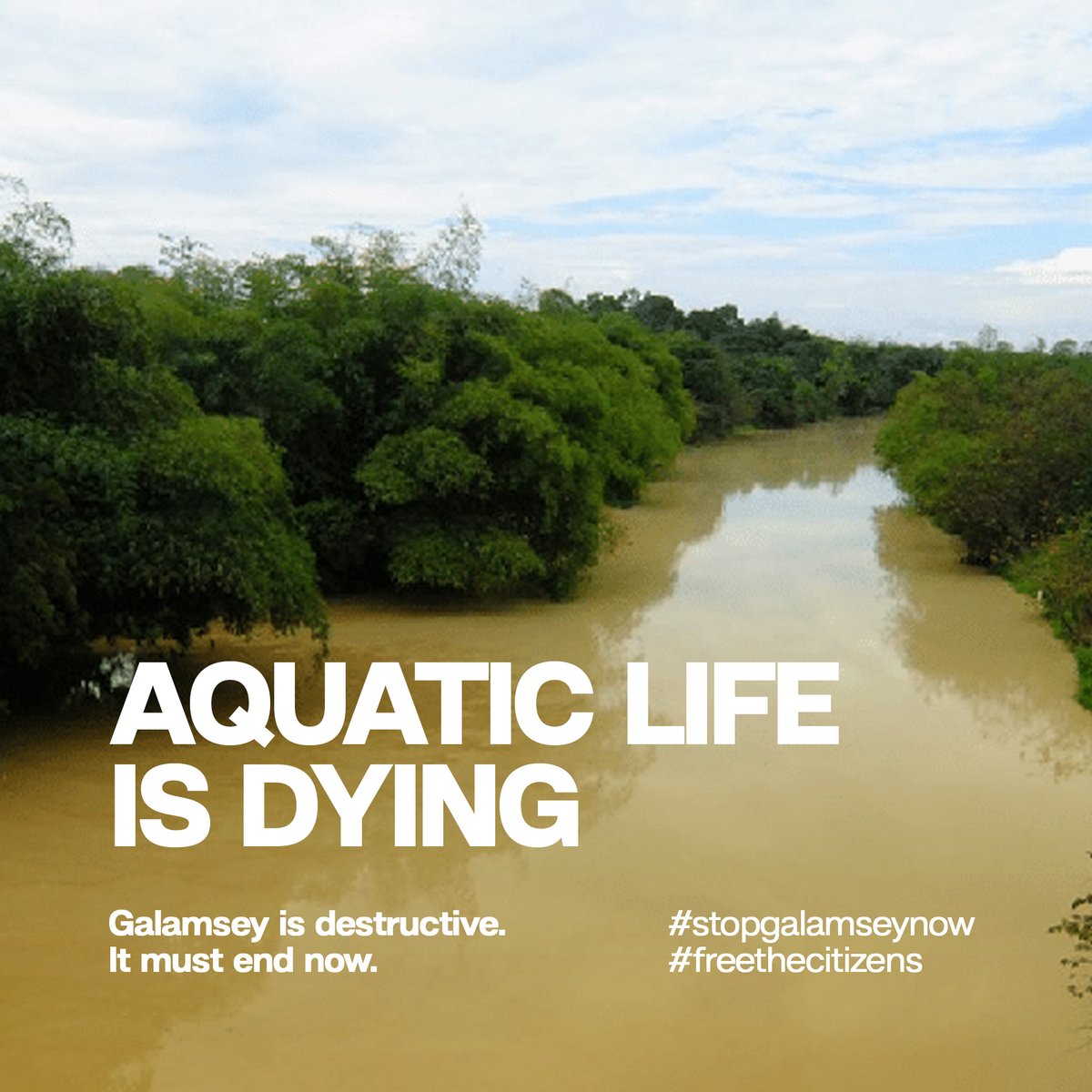 Aquatic life is dying. Our food is no longer safe for consumption.

#StopGalamsayNow