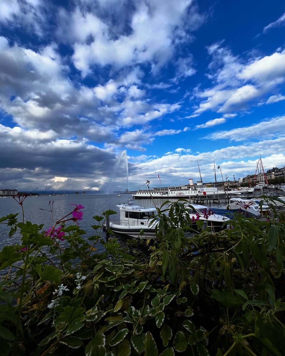 Starting a new venture next week, more details to come !