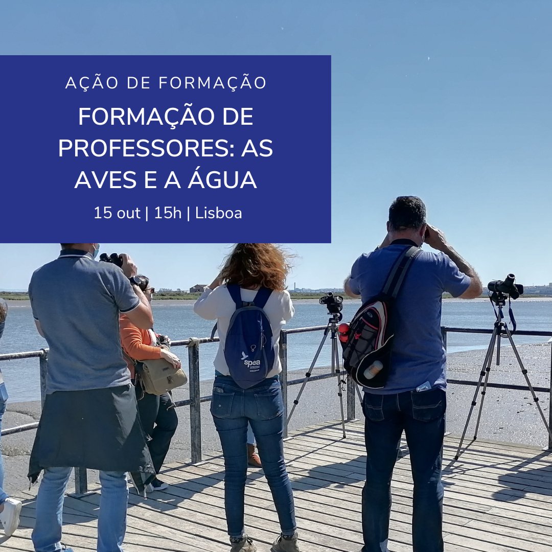 spea_birdlife's tweet image. 🦆 Formação de professores: as aves e a água | 📆  15 out, 15h | 📍Fábrica de Água de Beirolas
⁠
Inscrições até 10 outubro:
l8r.it/e319

#conservationeducation #restoreourearth #wildlifeeducation #environmentalawareness #educaoambiental
#atividadespedagogicas