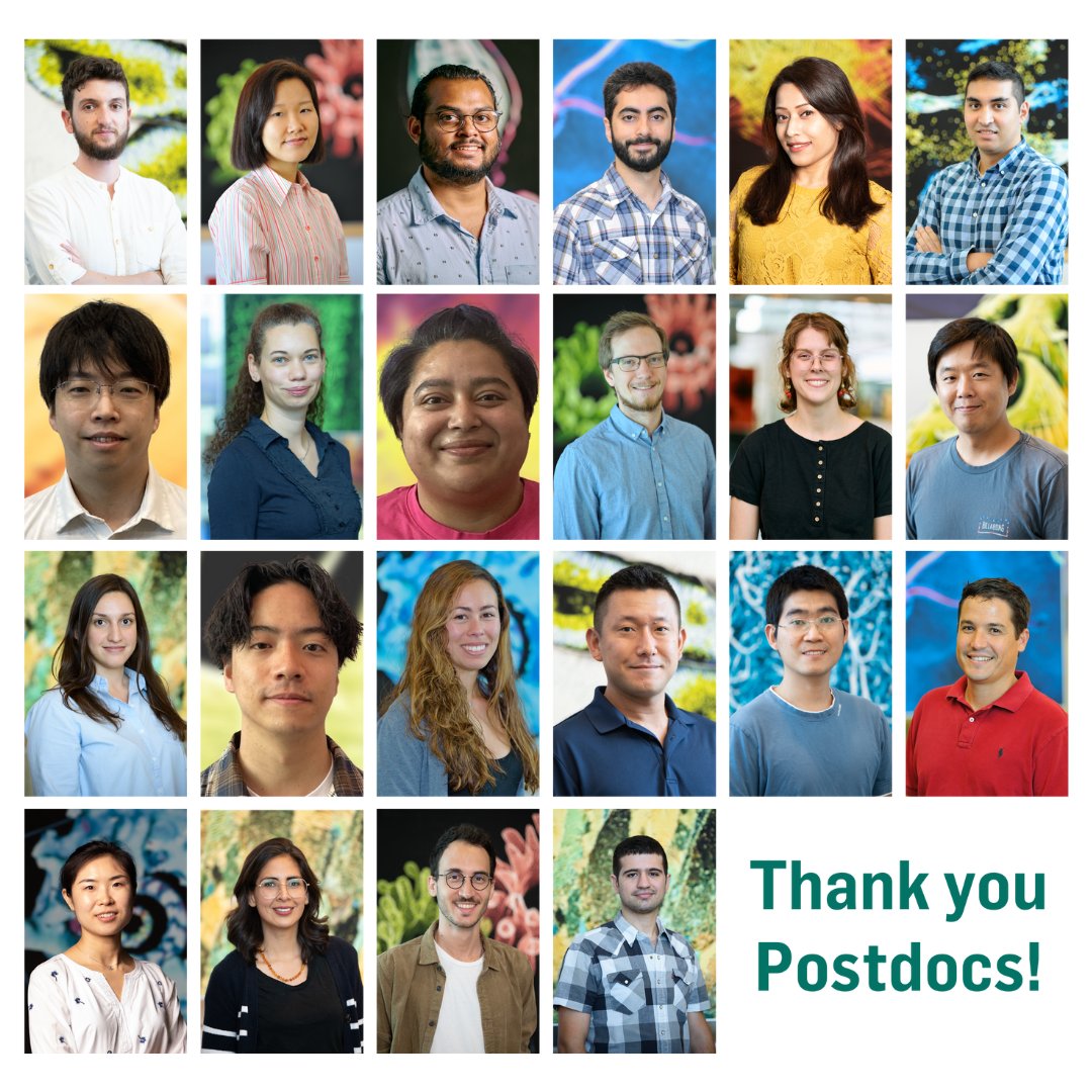 MPFNeuro's tweet image. Thank you to our amazing #postdocs! These talented scientists are the heart of our institution, driving #innovation and #discovery. These future #leaders are advancing neuroscience, mentoring trainees, and creating the open and collaborative community we enjoy at MPFI.