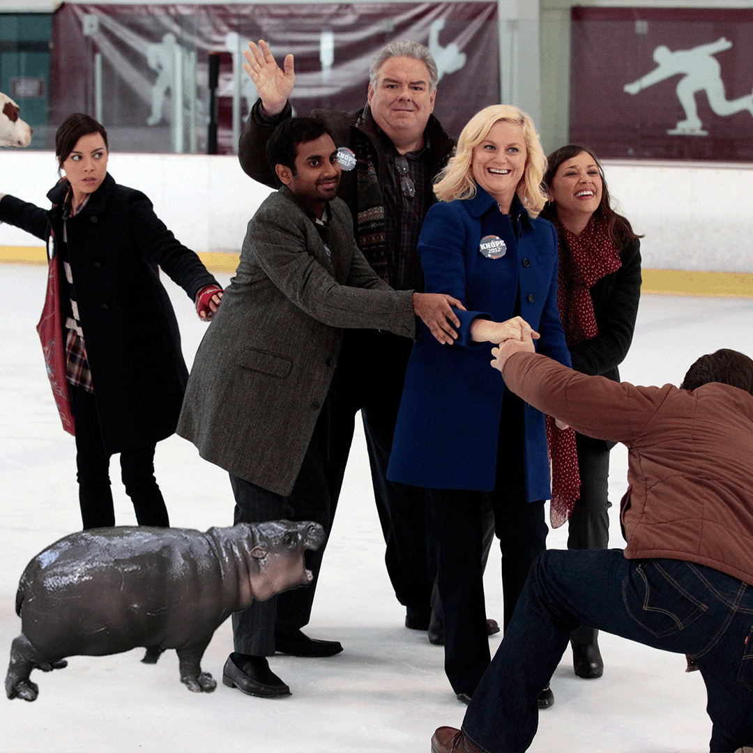 Moo Deng, what are you doing here?!