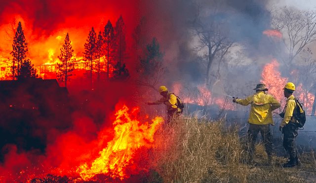 ClaudioMarte's tweet photo. 90 días de #IncendioForestal en #Bolivia, más de 4 millones de hectáreas consumidas por el fuego. Los rastros de devastación ante el avance del #fuego no sólo entristece a los bolivianos, sino a todos los que habitamos #lamadretierra 🇧🇴🤝🇩🇴

 @MIREXRD @noticiasfides #incendio https://t.co/Cx6HTBS5rI