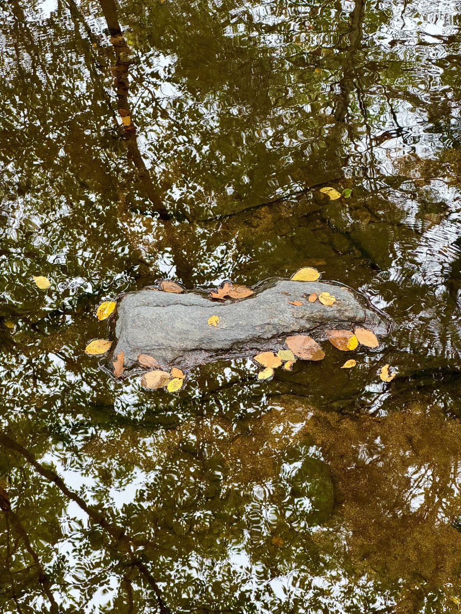 petermarteka's tweet photo. Autumn reflections. #PineBrook #Haddam https://t.co/1QQNGv3Y2X