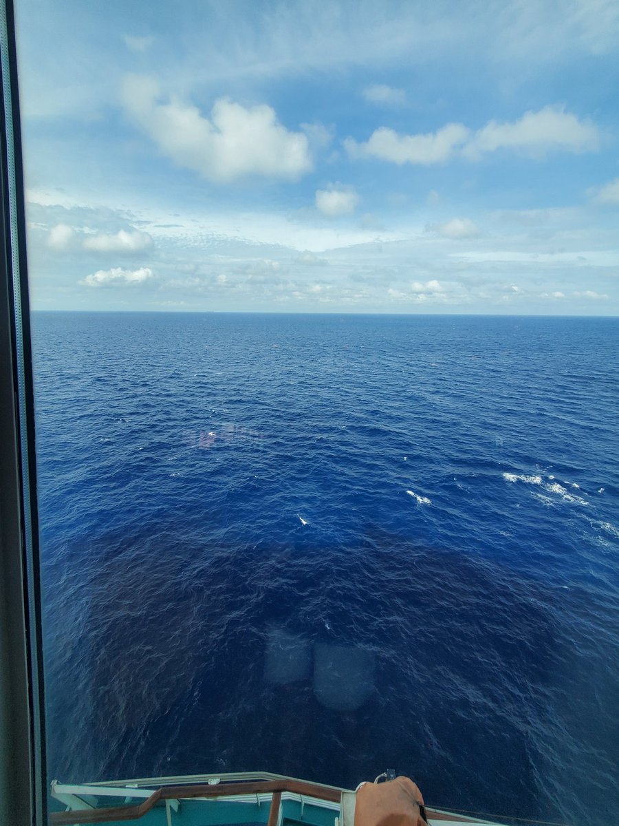 Roanoke Gaming tweet media