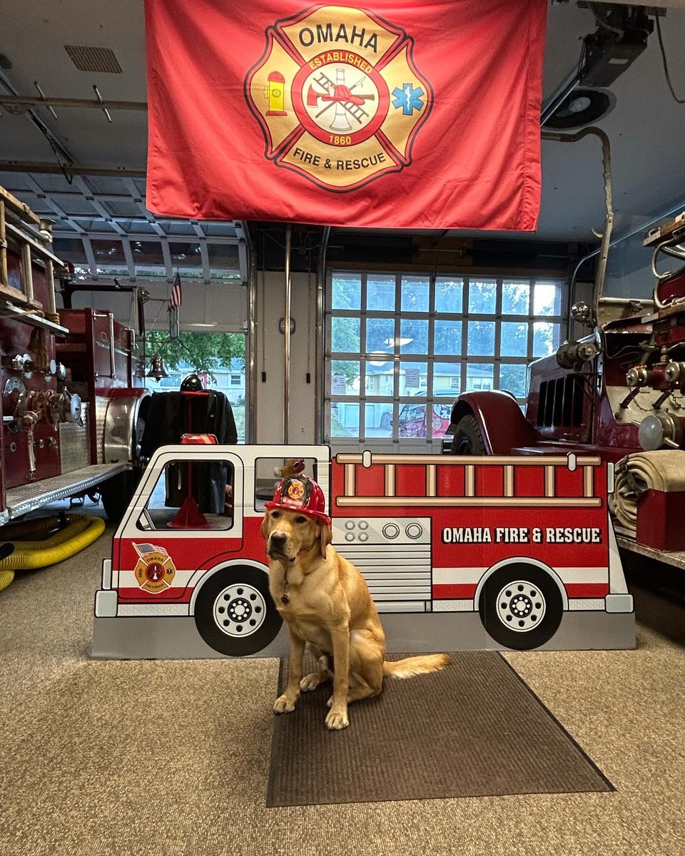 OFDMochi tweet media